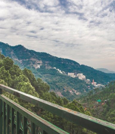 1 BHK Apartment in Kasauli - Project